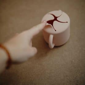 Mushie snack cup